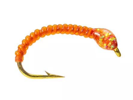 Camolera Corégono ALLROUND