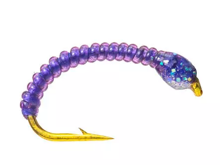 Camolera Corégono ALLROUND