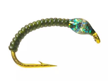 Camolera Corégono ALLROUND