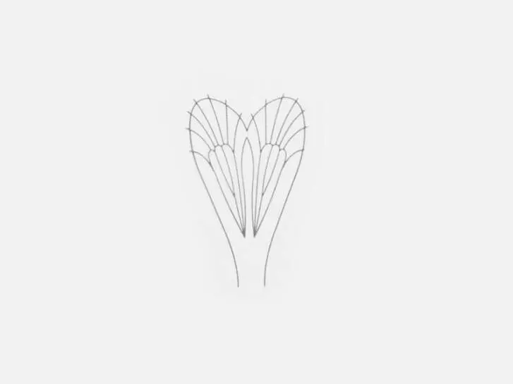 Plástico para alas Mayfly - tamaño C3