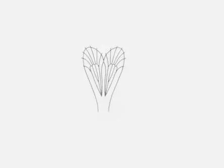 Plástico para alas Mayfly - tamaño C4