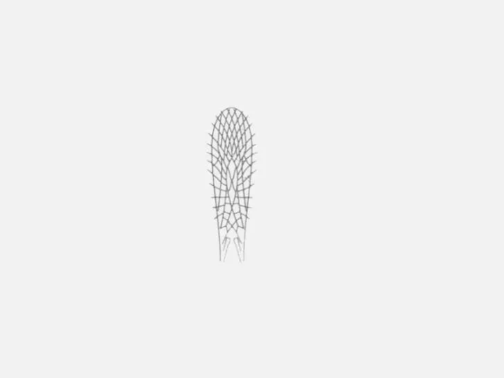 Plástico para alas Stoneflies - tamaño A4