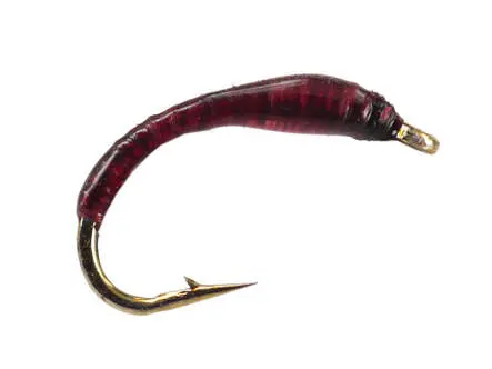 Dark Purple Buzzer 14