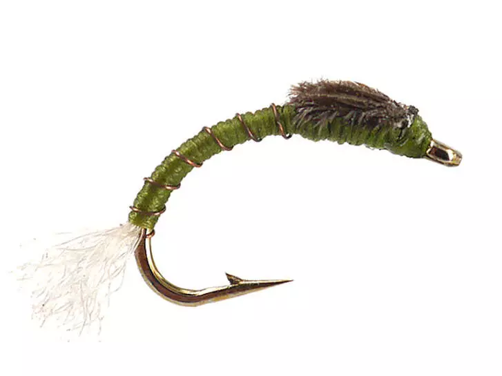 Toms Olive Buzzer
