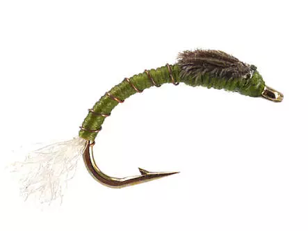 Toms Olive Buzzer