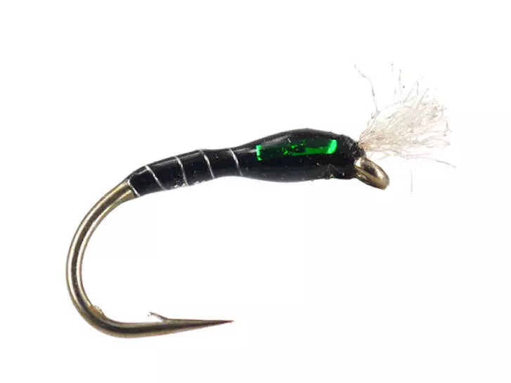 Highlander Buzzer Black Green