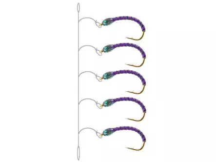 Camolera Corégono SYNTQUILL ALL PURPLE