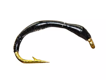 Camolera Corégono IRIDIDESCENT