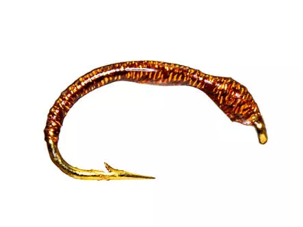 Camolera Corégono IRIDIDESCENT