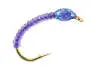 Camolera Corégono ALL PURPLE GLITTER