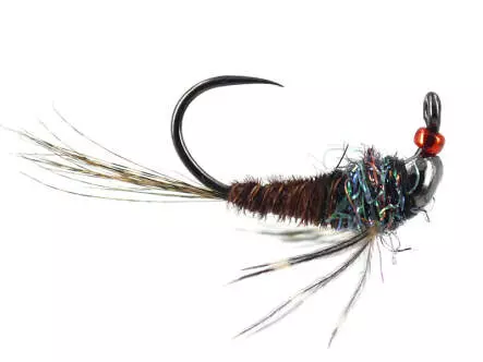 Pheasant Spider II Javi TG BL