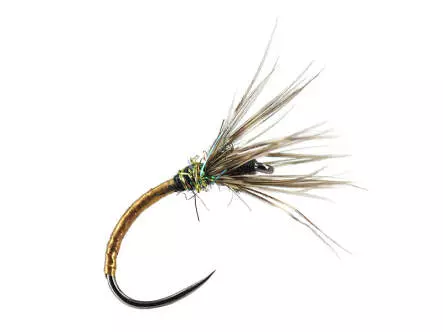 Sakasa Kebari Golden Eye