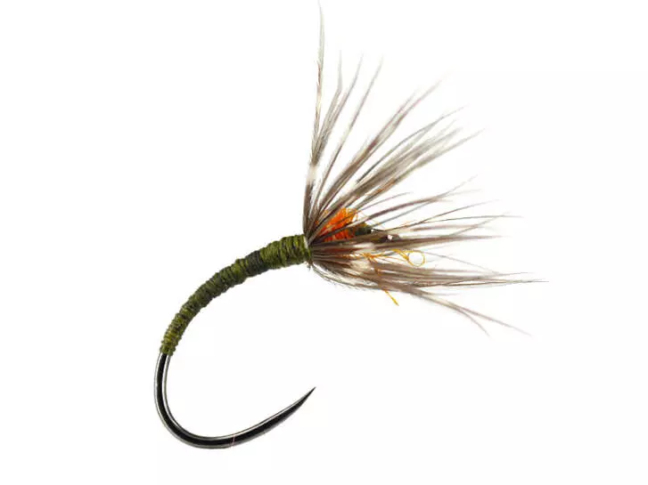 Sakasa Kebari Olive Salmon