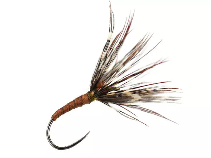 Sakasa Kebari Tan Samurai