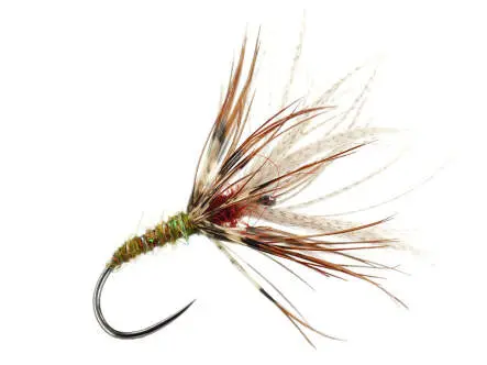 Sakasa Kebari Golden Hares 10