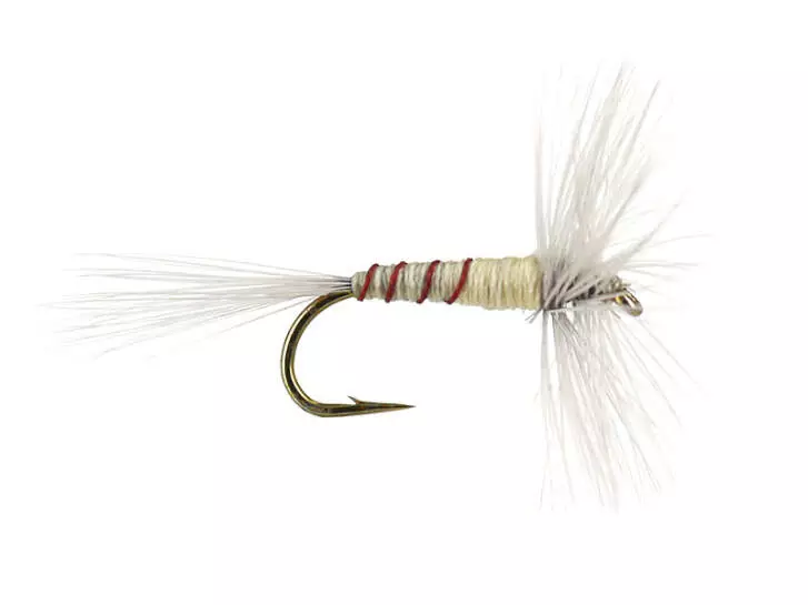 French PL Cream Ribbed