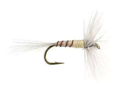 French PL Cream Ribbed