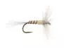 French PL Cream Ribbed