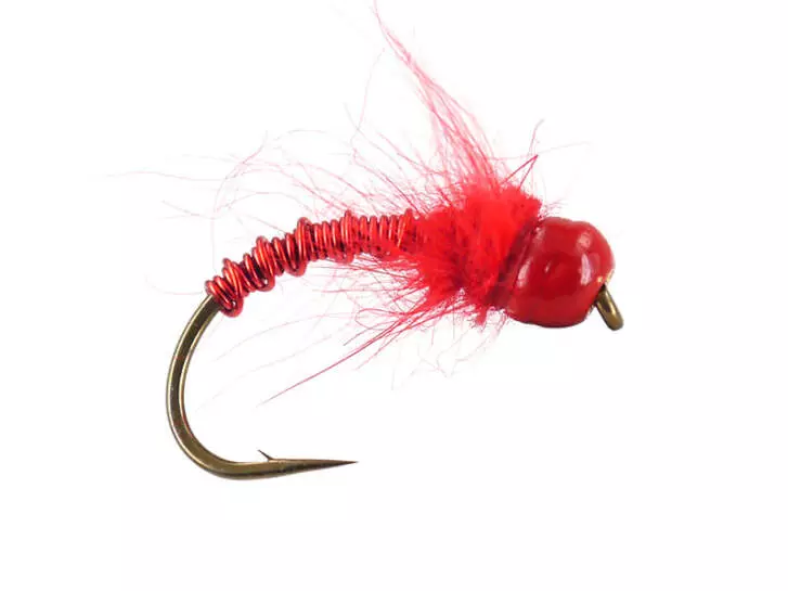 Red Troutcounter