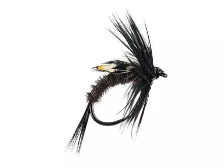 Pheasant Dark JC Nymph BL