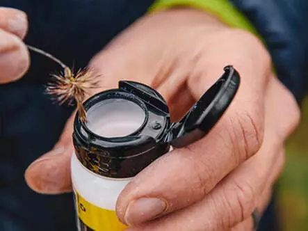 BLUE RIBBON loon outdoors - Polvo