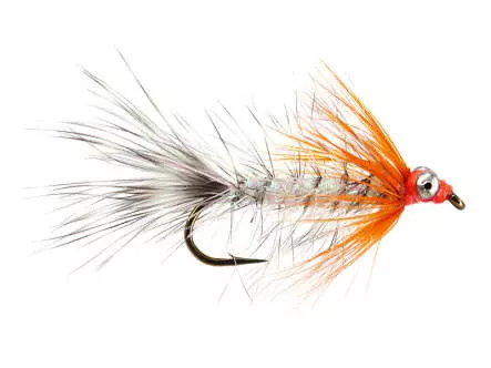 MW Hot Magnus 8