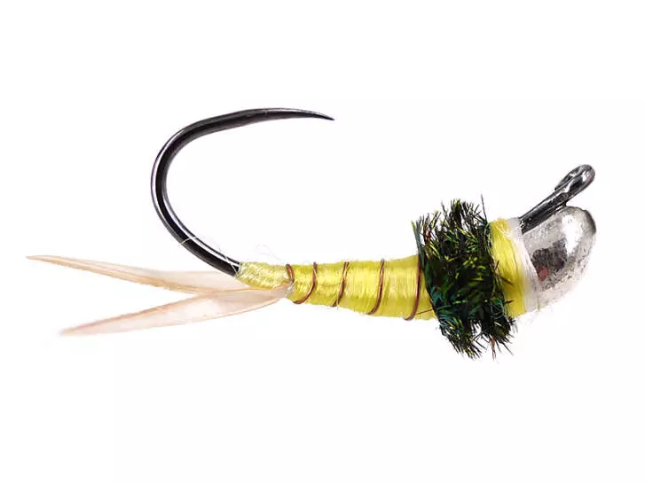 Pale Yellow Terminator Javi TG BL