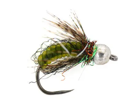 Green Comp. Caddis Naturfil Pupa TG BL 10