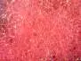 SPECTRA DUBBING hotfly - 1 g - pink