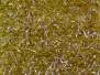BRILL UV textreme - standard - 300 cm - olive
