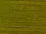 ROUND CHENILLE textreme - 2 mm - 300 cm - light olive
