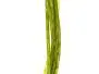 NATURFIL hotfly - 150 cm - Ø 0,4 mm - olive