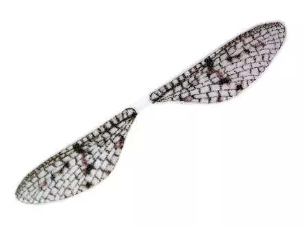 X-TRUE MAYFLY WINGS hotfly - 10 pc.