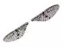X-TRUE MAYFLY WINGS hotfly - 10 pc.
