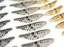 X-TRUE MAYFLY WINGS hotfly - 10 pc.