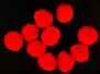 FISH EGGS hotfly - 10 pc. - 10 mm - red