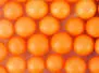 HIGH VIZ POLY BALLS hotfly - 9 / 10 mm - orange