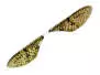 X-TRUE MAYFLY WINGS hotfly - 10 pc. - XS (10 mm) - olive