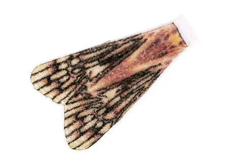 X-TRUE CADDIS WINGS hotfly - 10 pc. - M (15 mm) - beige
