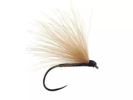Black Fratnik Simply Good BL