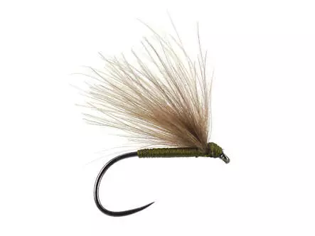 Olive Fratnik Simply Good BL