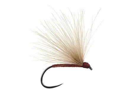 Brown Fratnik Simply Good BL