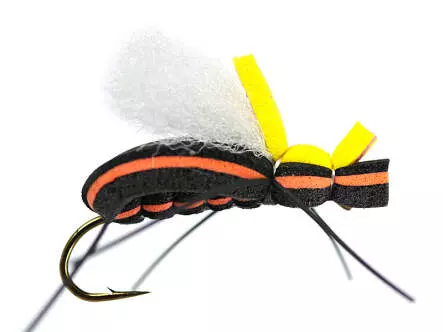 Mauro Raspinis Escarabajo 45° Orange