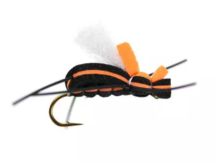 Mauro Raspinis Escarabajo 45° Orange