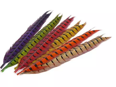 PLUMA DE COLA DE FAISAN 1° CALIDAD hotfly - 1 pcas. - ca. 50 cm