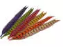 PLUMA DE COLA DE FAISAN 1° CALIDAD hotfly - 1 pcas. - ca. 50 cm