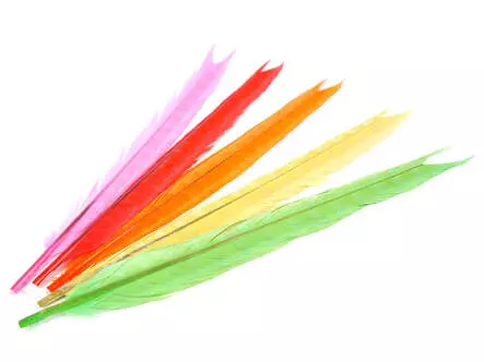 PLUMA BLEACHY DE COLA DE FAISAN 1° CALIDAD  hotfly -...