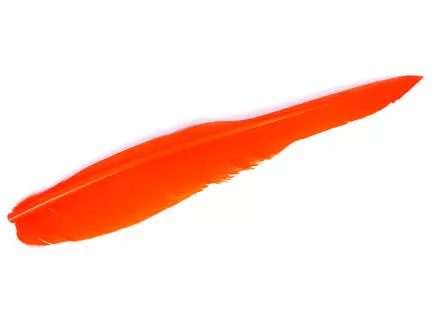 PLUMA QUILL DE GANSO (GOOSE QUILL FEATHER) hotfly - 1...