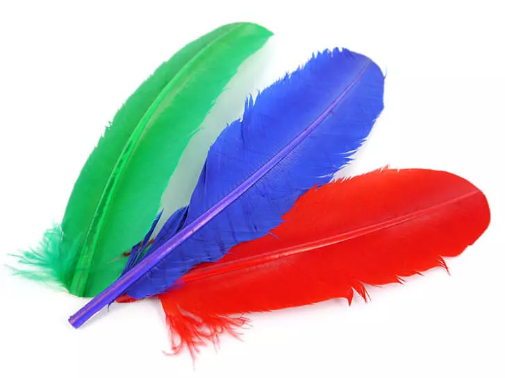 PLUMA DE PAVO (TURKEY FEATHER) hotfly - 1 pcas.