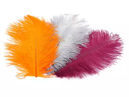 PLUMA DE AVESTRUZ (OSTRICH HERL) hotfly - 1 pcas. - ca....